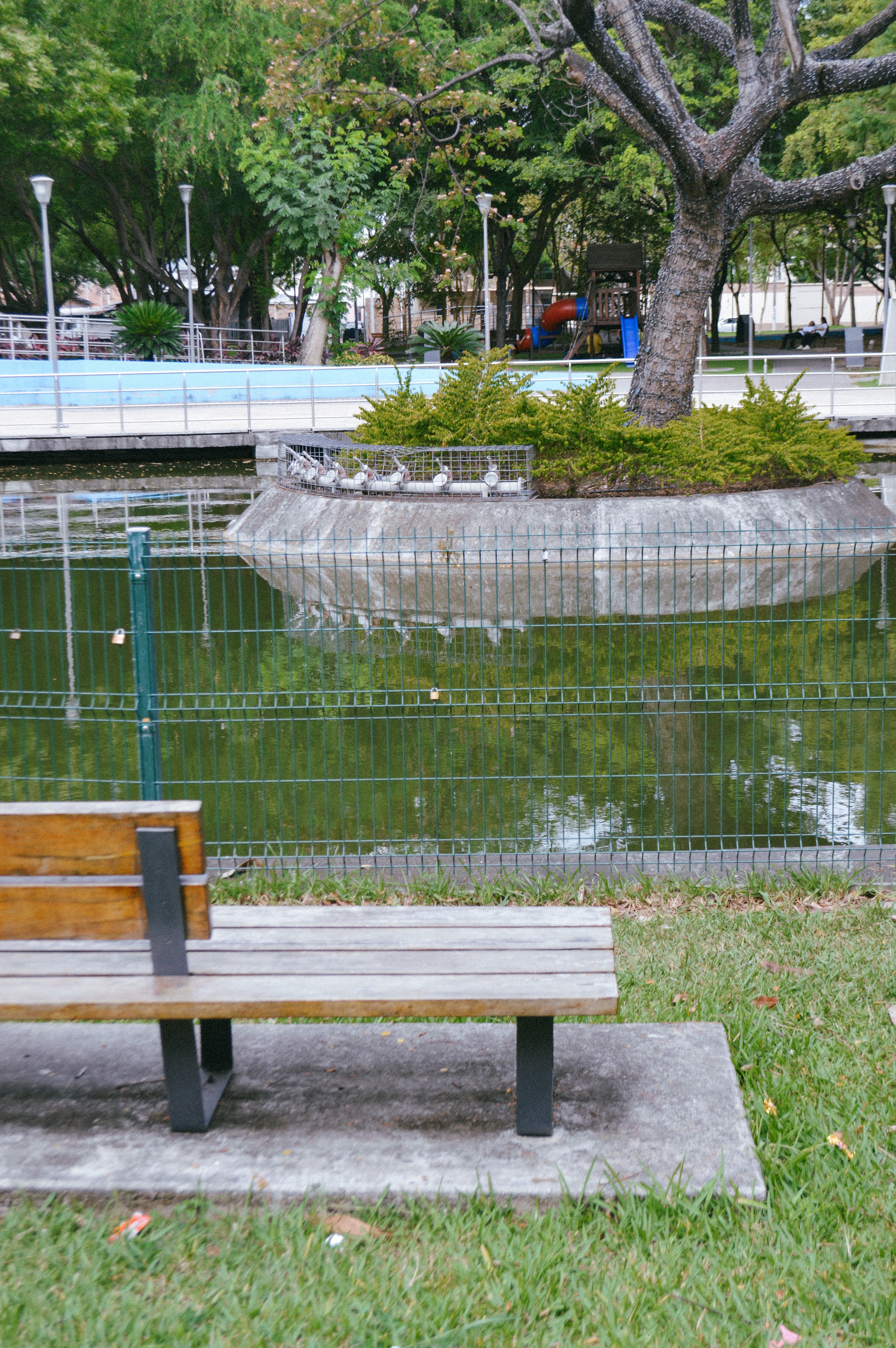 Rotonda Asiento